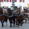 BinPartyGeil.de Fotos - Schussenrieder Oktoberfest - Das Brauereifest in Oberschwaben vom 29.9.-3.10.2017 am 03.10.2017 in DE-Bad Schussenried